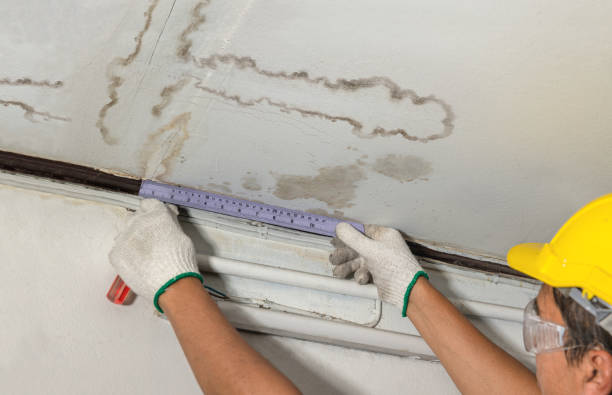 Reliable Sewage Cleanup contractor in Cohoctah, MI by Water Damage Irwin